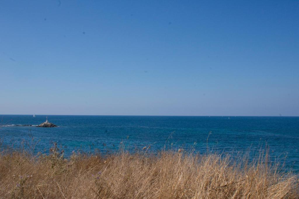 Dionisos Hotel ミティカス エクステリア 写真